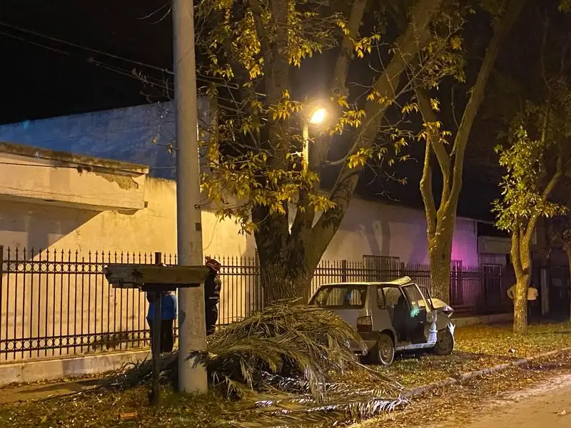 choque auto arbol