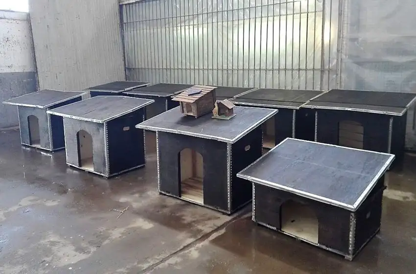 Internos de Batan fabrican cuchas para perros callejeros