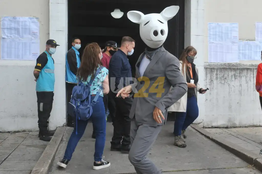 Un “Chancho Blanco” fue a votar y habló con la prensa