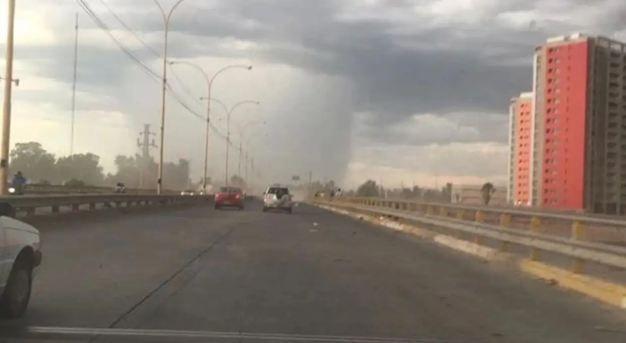 Santiago del Estero: un “hongo de lluvia” causó alarma entre los ciudadanos