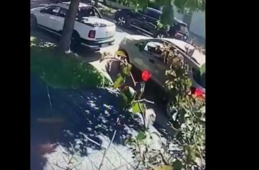Robo en el barrio Los Troncos: "Hacen estragos en Mar del Plata"