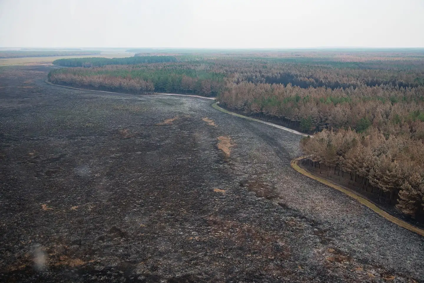 El gobernador de Corrientes anunció que se apagaron los incendios en la provincia