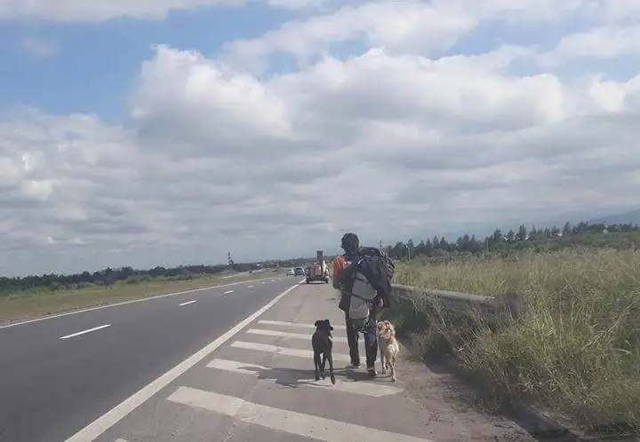 Adoptó a dos perros en Chile y se vuelve caminando a Mendoza para no abandonarlos