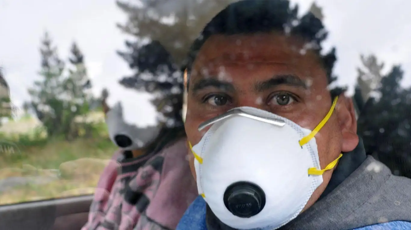 La OMS emitió una alerta por el brote de hantavirus en el país