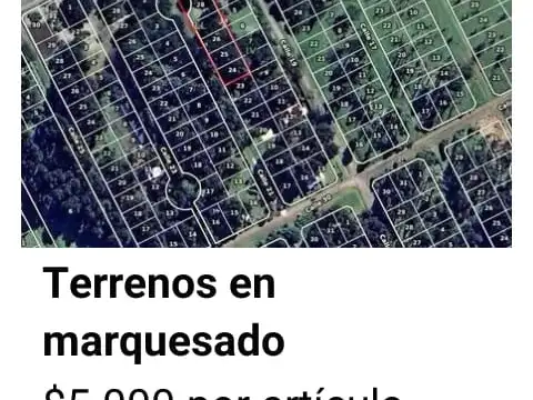 marque